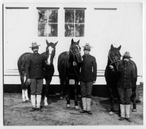 3 Calvery soldiers and their horses.