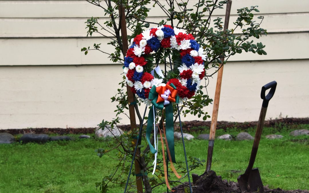 Ceremonial tree planting in memoriam of Dr. Seamus Rogan