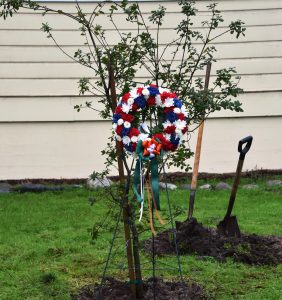 Ceremonial tree planting in memoriam of Dr. Seamus Rogan