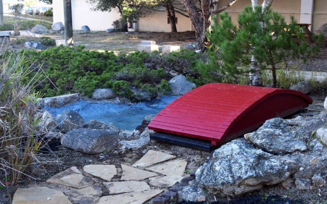 Masterclass in Leadership: Local Student Revitalizes Asian Garden