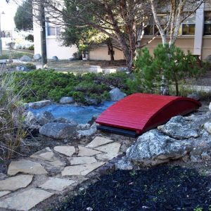 Masterclass in Leadership: Local Student Revitalizes Asian Garden