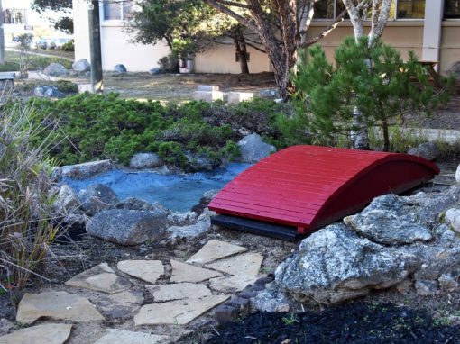 Masterclass in Leadership: Local Student Revitalizes Asian Garden