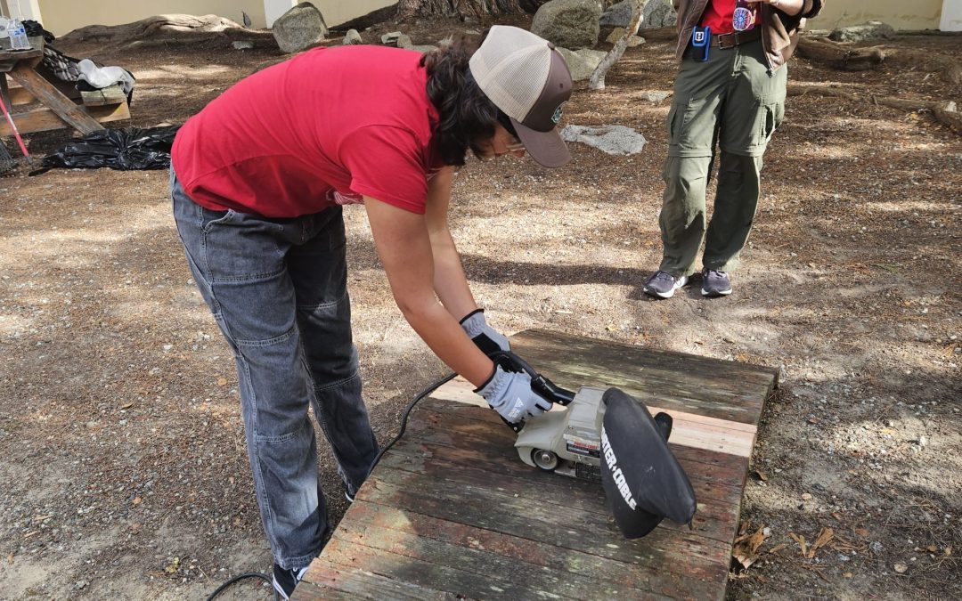 Volunteers working on the revitalization of the Asian cultural garden
