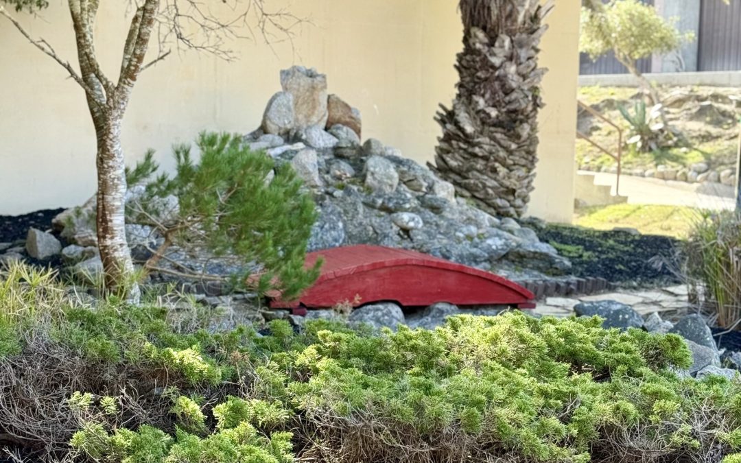 Asian cultural garden