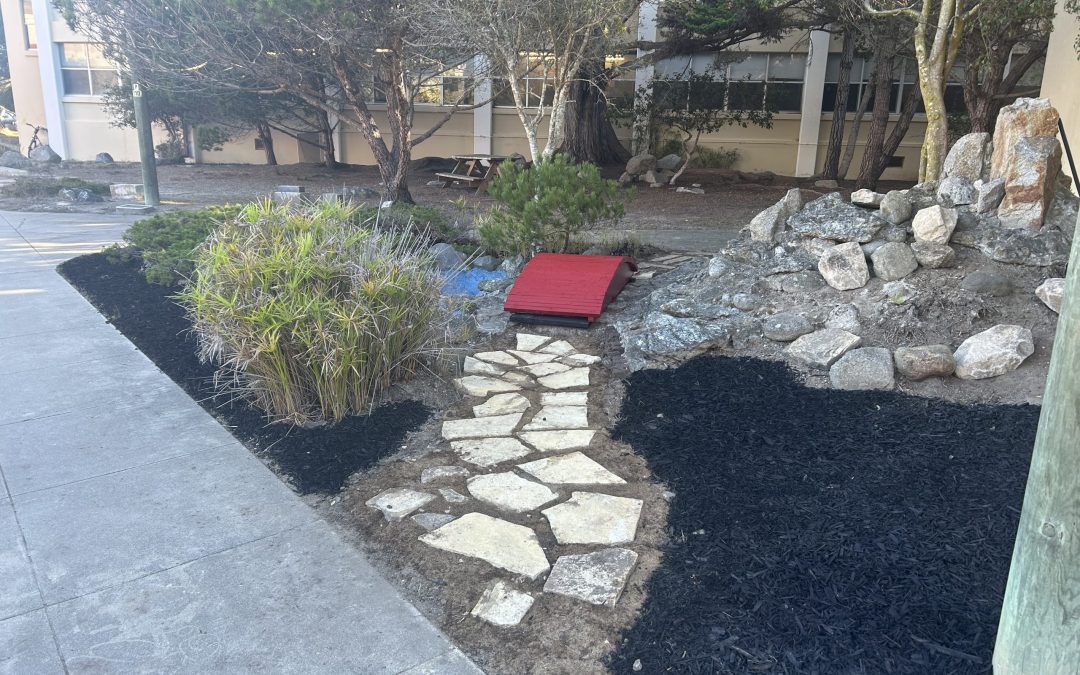 Finished revitalization